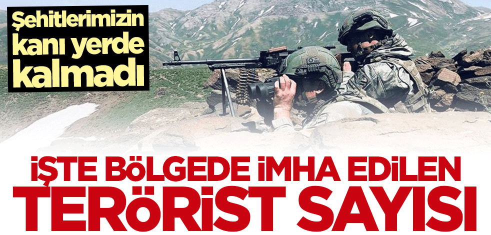 Terör örgütü PKK'ya bir darbe daha