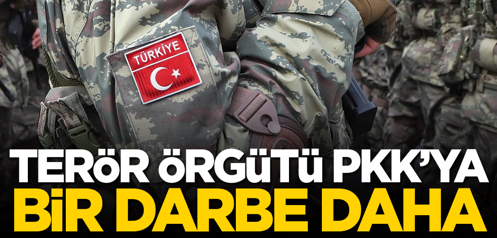 Terör örgütü PKK'ya bir darbe daha
