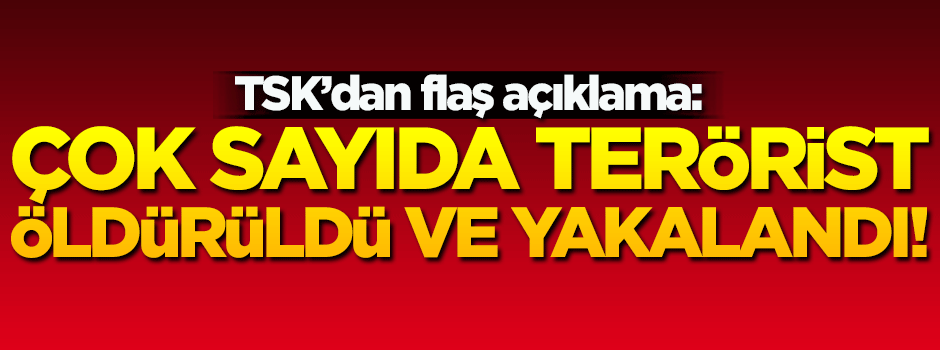 Terör örgütü PKK'ya büyük darbe: 9 terörist öldürüldü, 3 terörist yakalandı