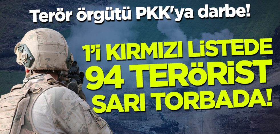 Terör örgütü PKK'ya darbe! 1'i kırmızı listeden 94 terörist sarı torbada