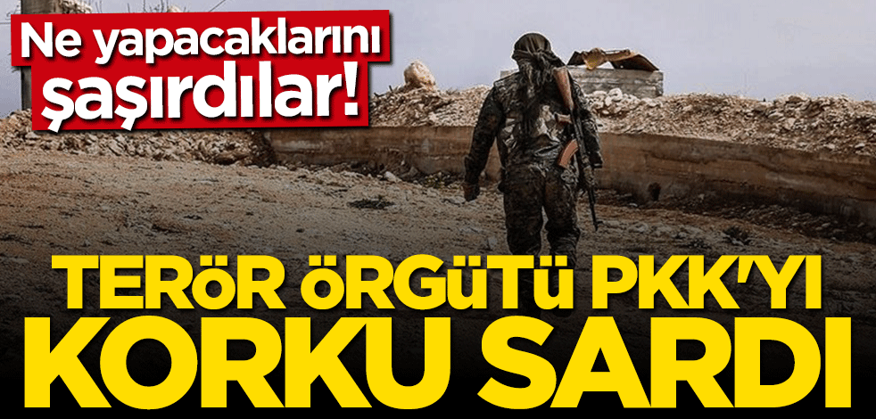 Terör örgütü PKK'yı operasyon korkusu sardı