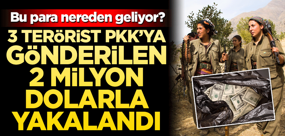 Terör örgütü PKK/YPG üyesi 3 terörist örgüte gönderilen 2 milyon dolarla yakalandı