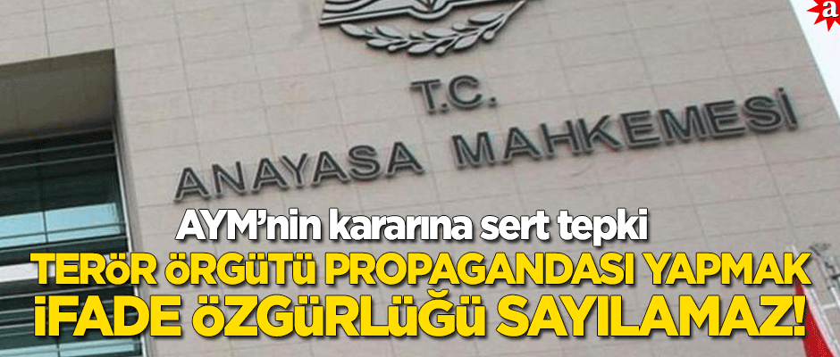 "Terör örgütü propagandası yapmak ifade özgürlüğü sayılamaz"
