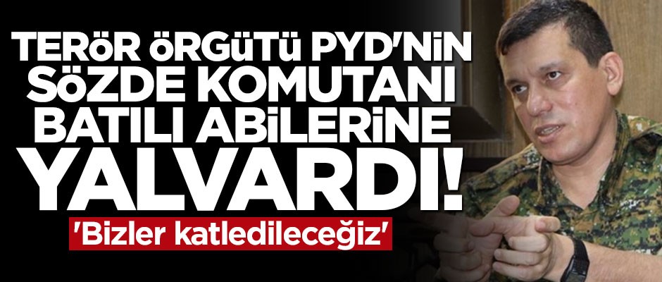 Terör örgütü PYD'nin sözde komutanı batılı abilerine yalvardı