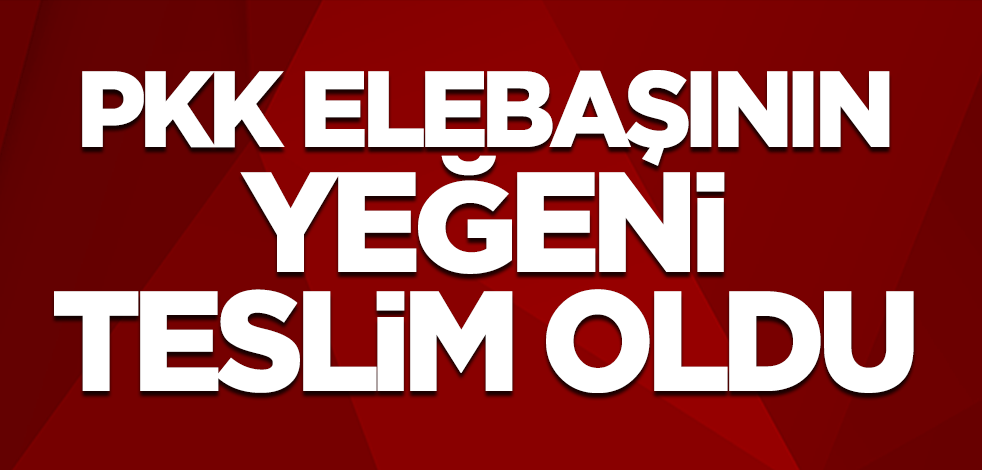 Terör örgütü PYD/PKK elebaşlarından Salih Müslüm'ün yeğeni Dalya Mahmut Müslüm teslim oldu