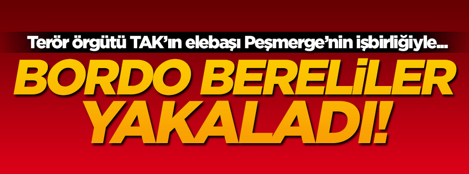 Terör örgütü TAK’ın sözde komutanı Hacı Türmak yakalandı