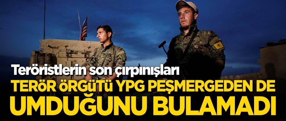 Terör örgütü YPG, Peşmergeden umduğunu bulamadı