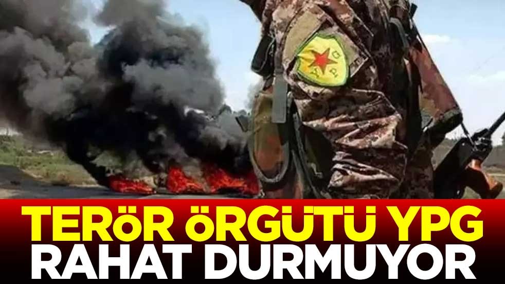 Terör örgütü YPG rahat durmuyor
