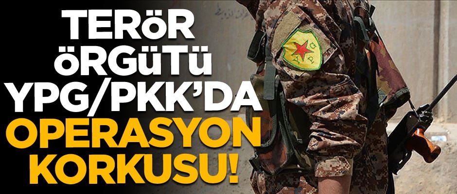 Terör örgütü YPG/PKK'da operasyon paniği