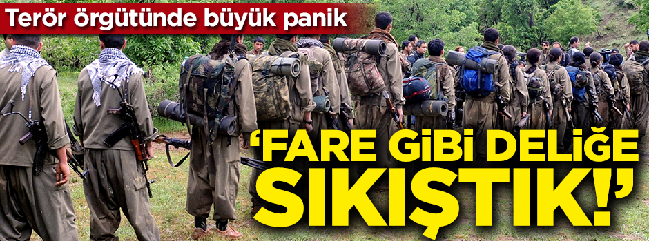 Terör örgütü zorda! PKK’lının maillerinde ortaya çıktı: ‘Fare gibi deliğe sıkıştık’