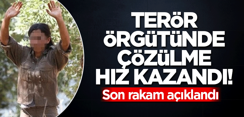 Terör örgütünde çözülme hız kazandı! Son rakam açıklandı