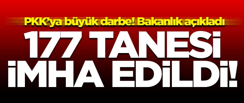 Terör örgütüne ağır darbe! 177 tanesi imha edildi