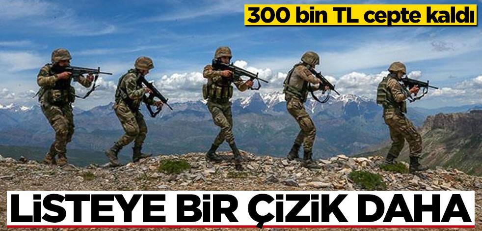 Terör örgütüne ağır darbe! Listeye biz çizik daha atıldı