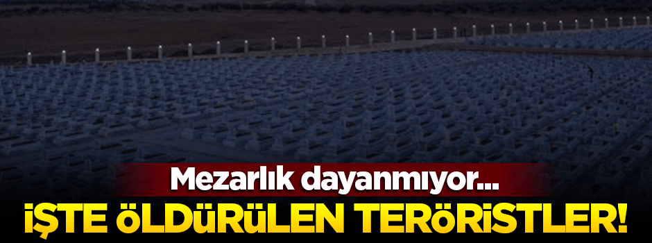 Terör örgütüne mezarlık dayanmıyor!