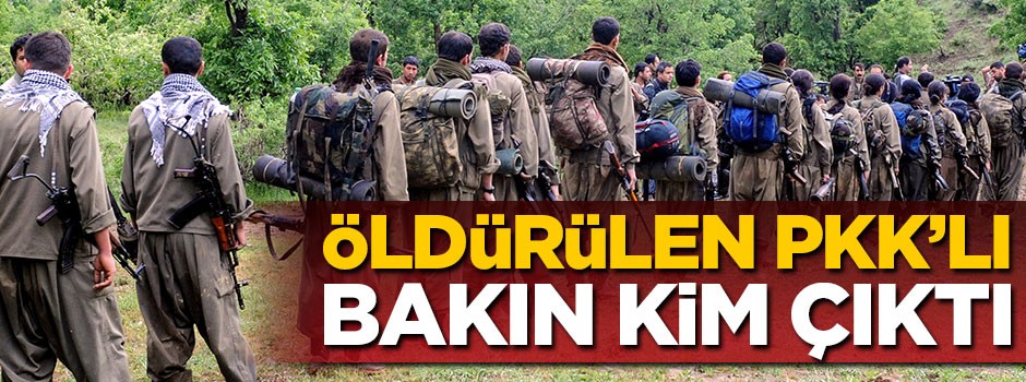 Terör örgütüne üst düzey darbe