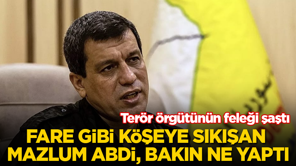 Terör örgütünün feleği şaştı! Fare gibi köşeye sıkışan Mazlum Abdi, bakın ne yaptı