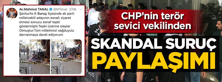 Terör sevici CHP'li vekilden skandal Suruç paylaşımı