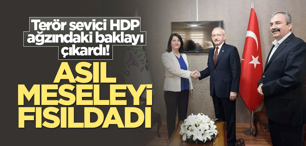 Terör sevici HDP ağzındaki baklayı çıkardı! Ortaklarına asıl meseleyi fısıldadı