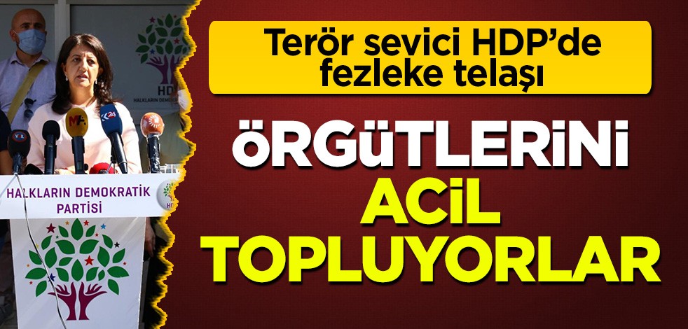 Terör sevici HDP'de 'fezleke' telaşı: Acil toplanıyorlar!