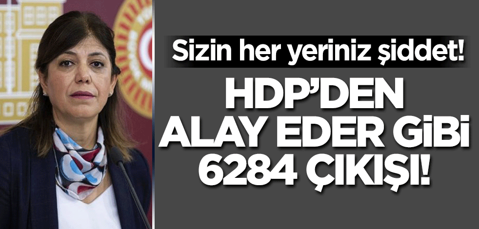 Terör sevici HDP'den alay eder gibi 6284 çıkışı! Sizin her yeriniz şiddet