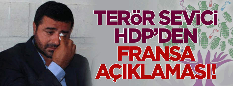Terör sevici HDP'den 'Fransa' açıklaması!