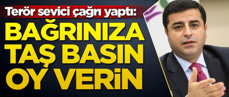 Terör sevici Selahattin Demirtaş'tan çağrı: Bağrınıza taş basın, oy verin