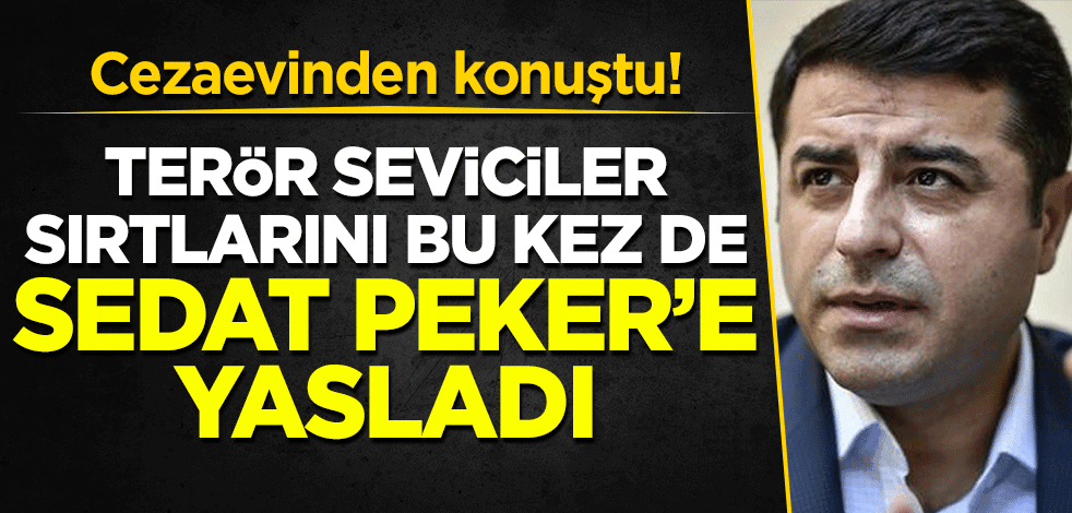 Terör seviciler sırtlarını bu kez de Sedat Peker'e yasladı!