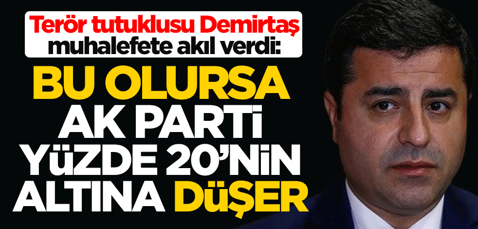 Terör tutuklusu Selahattin Demirtaş muhalefete akıl verdi: Bu olursa AK Parti yüzde 20'nin altına düşer