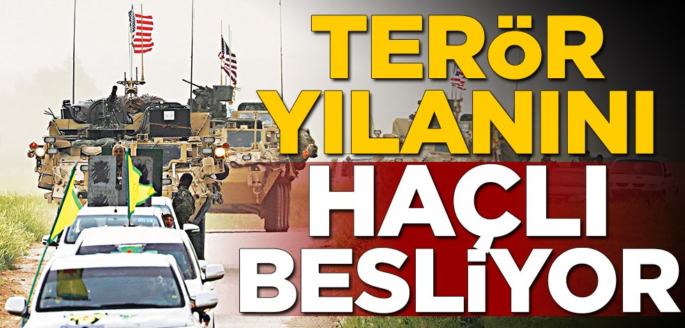 Terör yılanını Haçlı besliyor