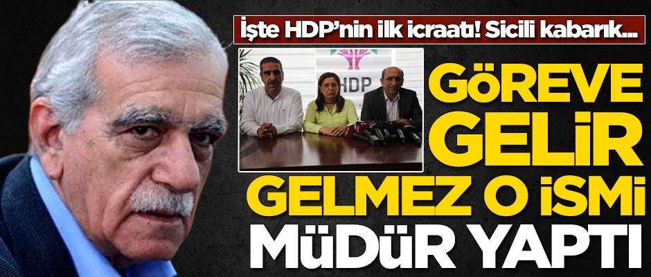 Terörden gözaltına alınmıştı! Ahmet Türk müdür olarak atadı