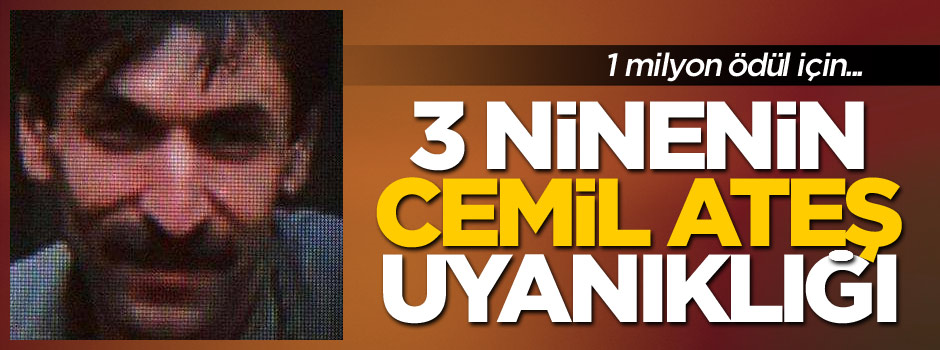 Terörist Cemil Ateş'i 'Ben ihbar ettim' diyen 3 ninenin hayalkırıklığı