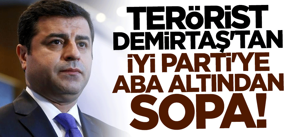 Terörist Demirtaş'tan İYİ Parti'ye aba altından sopa
