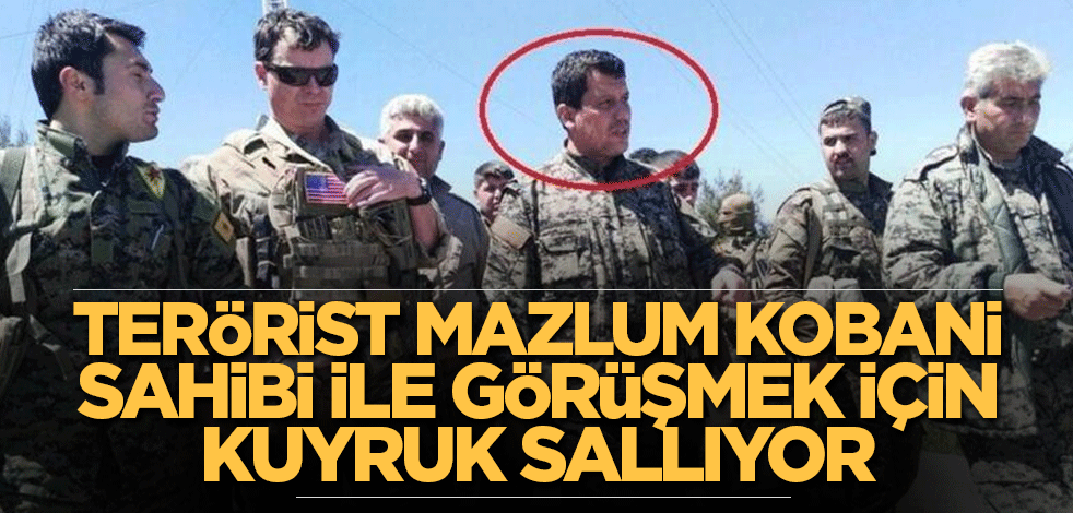 Terörist Mazlum Kobani sahibi ile görüşmek için kuyruk sallıyor