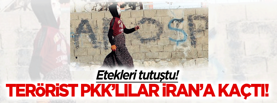 Terörist PKK'lılar İran'a kaçtı!