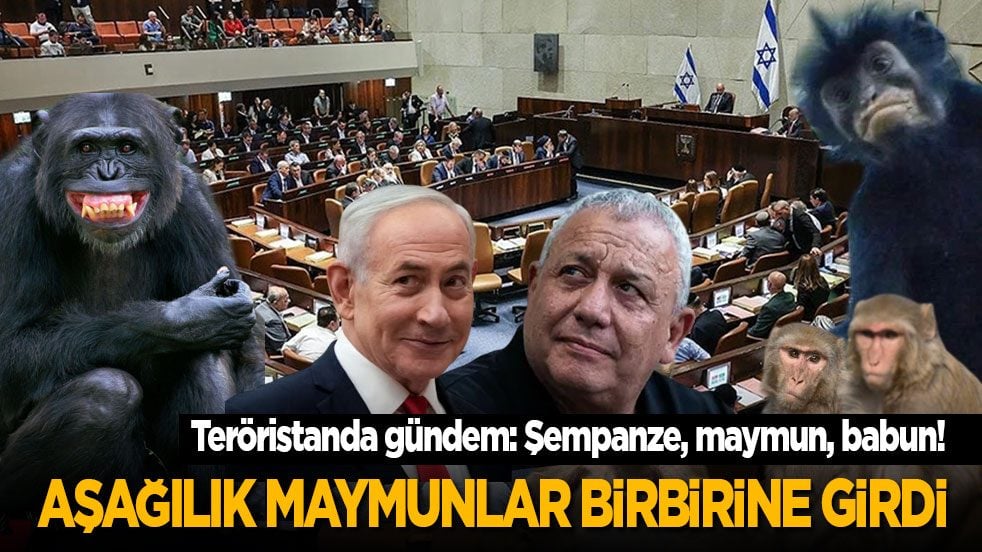  Teröristanda gündem: Şempanze, maymun, babun! Aşağılık maymunlar birbirine girdi