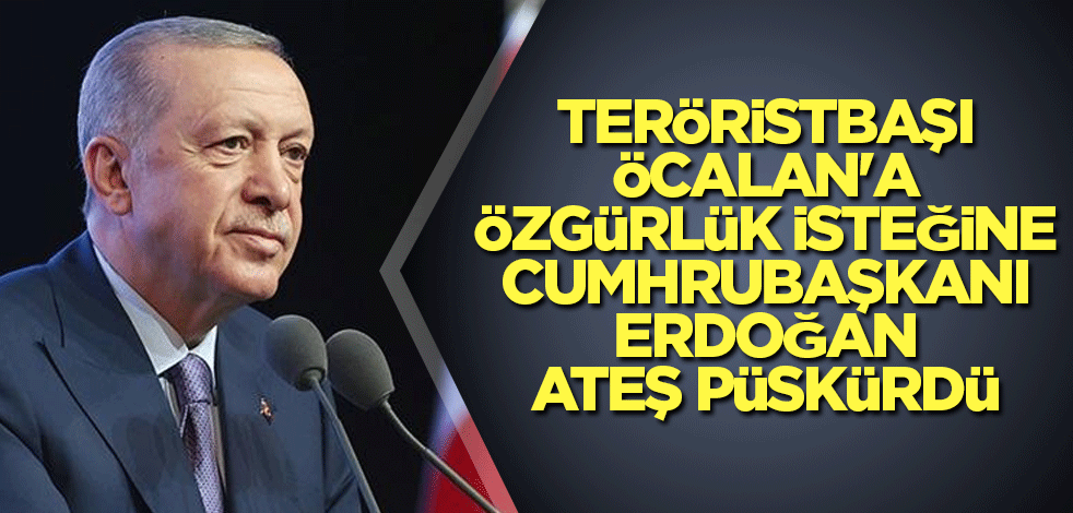 Teröristbaşı Öcalan'a özgürlük isteğine Cumhrubaşkanı Erdoğan ateş püskürdü