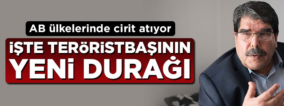 Teröristbaşı Salih Müslim'in yeni durağı Danimarka