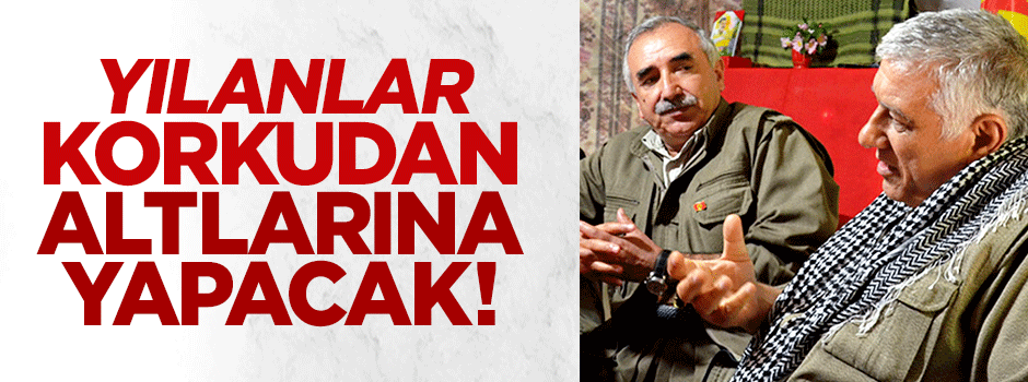 Teröristbaşları kafalarını bile kaldıramıyor