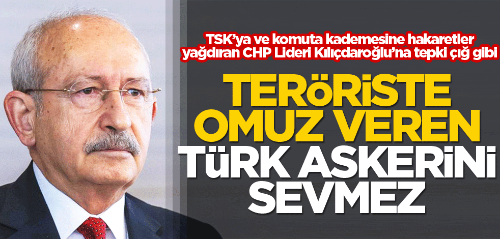 Teröriste omuz veren Türk askerini sevmez