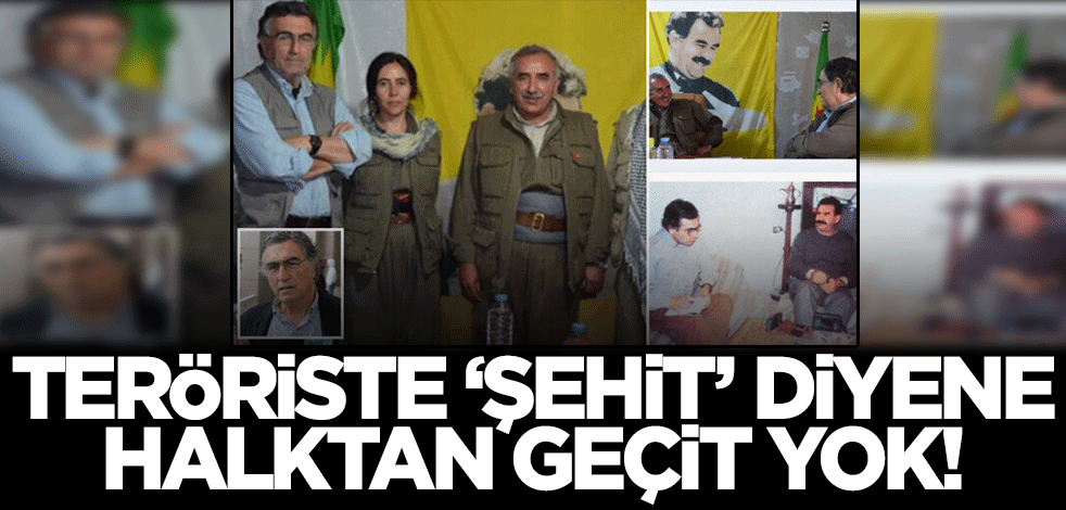 Teröriste 'şehit' diyen Hasan Cemal'e sandık tokadı!