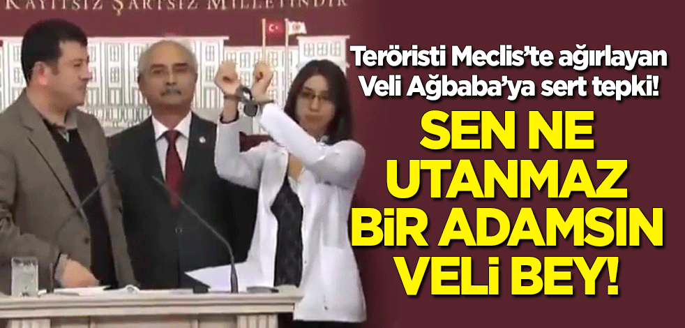 Teröristi Meclis'te ağırlayan CHP’li Ağbaba’ya en sert tepki: Sen ne utanmaz bir adamsın Veli Bey!