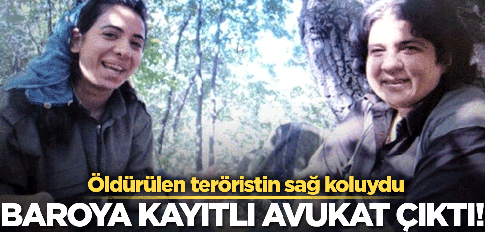 Kırmızı kategorideki teröristin sağ kolu, baroya kayıtlı avukat çıktı!