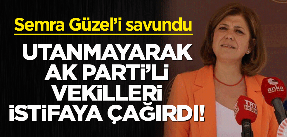 Teröristle fotoğrafları çıkan HDP'li Güzel'i savundu! Utanmadı, AK Partili milletvekillerini istifaya çağırdı