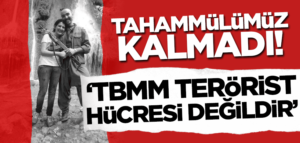 Teröristle fotoğrafları ortaya çıkan HDP'li vekil için 'dokunulmazlığı kaldırılsın' çağrısı: TBMM terörist hücresi değil!