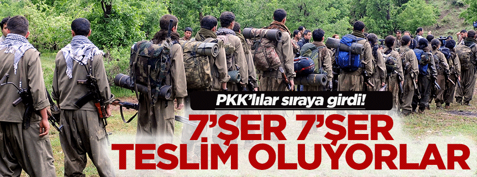 Teröristler 7‘şer 7‘şer teslim oluyor