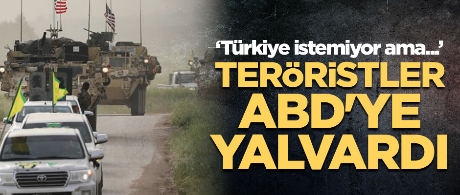Teröristler ABD'ye yalvardı: Türkiye istemiyor ama...