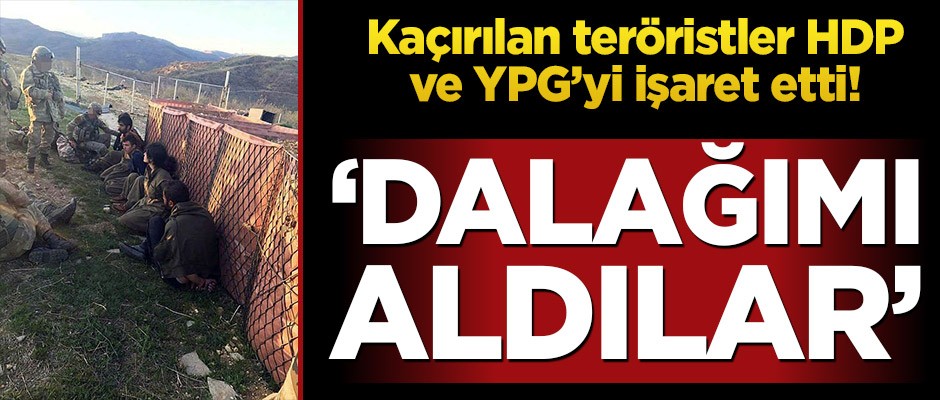 Teröristler HDP ve YPG’yi işaret etti! ‘Dalağımı aldılar’