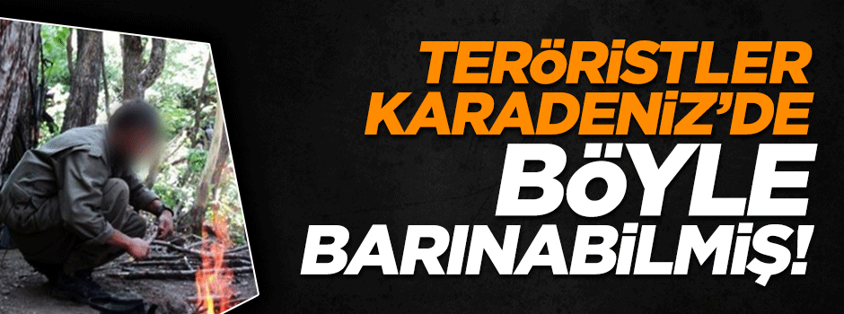 Teröristler Karadeniz'de böyle barınıyormuş