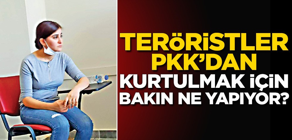 Teröristler PKK’dan kurtulmak için bakın ne yapıyor?