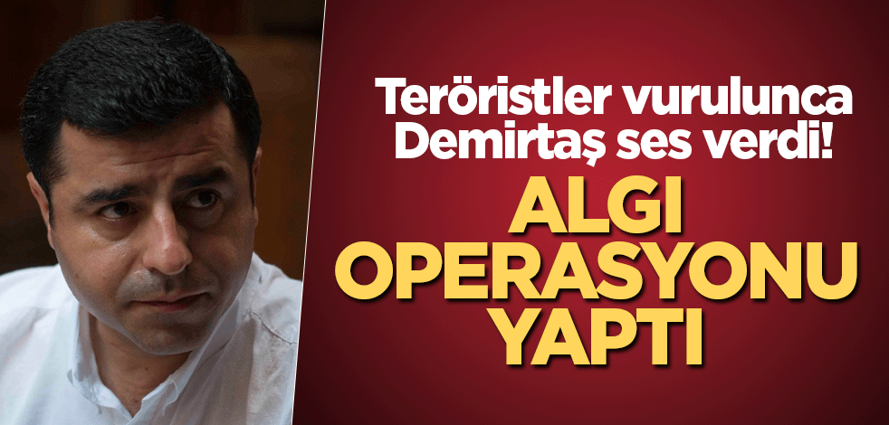 Teröristler vurulunca Demirtaş ses verdi! Algı operasyonu yaptı